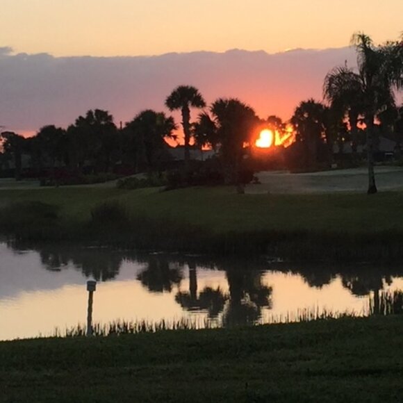 Five ⭐️ Seller - Fast Shipper! - Picture 7 of 15